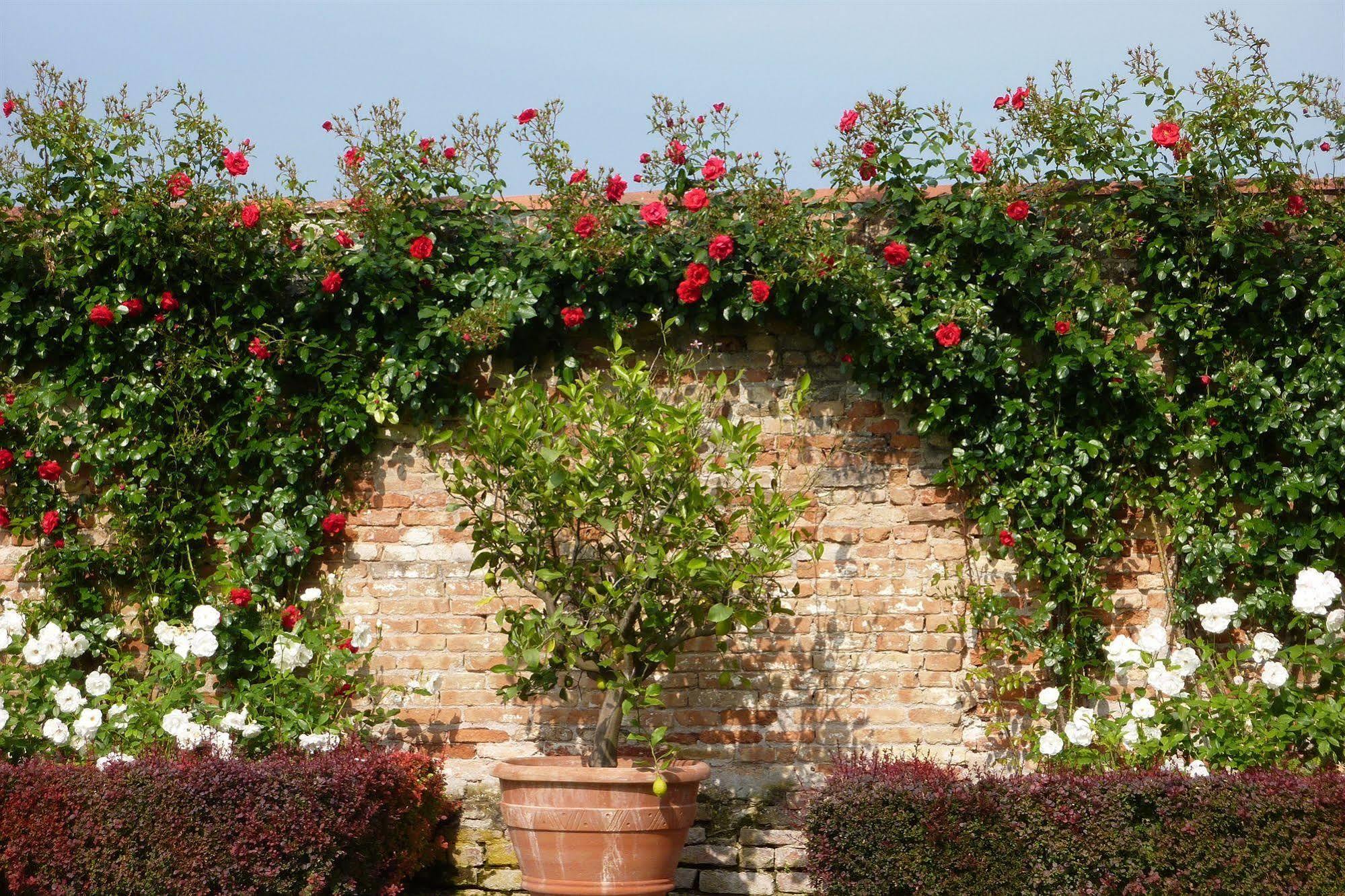 Villa Alberti Dolo Exterior photo